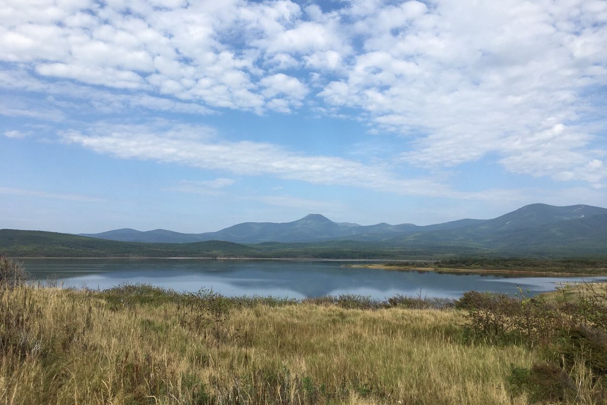 Сихотэ-Алинский заповедник: по следам амурского тигра!