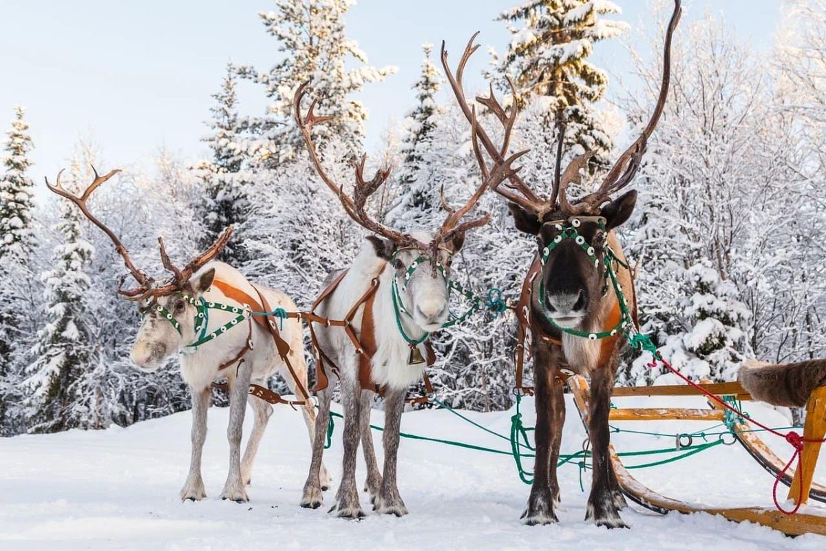 Кольский Викенд (+морская прогулка)