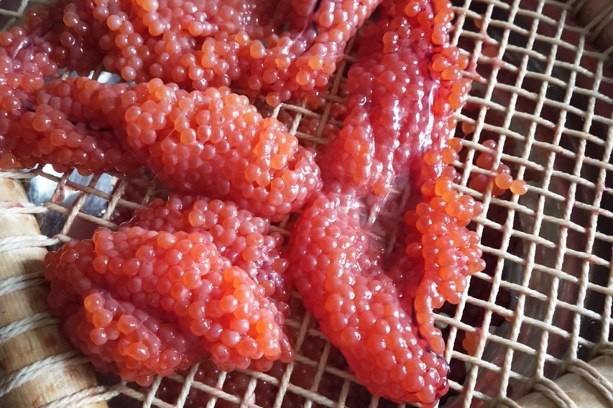 Камчатский натюрморт