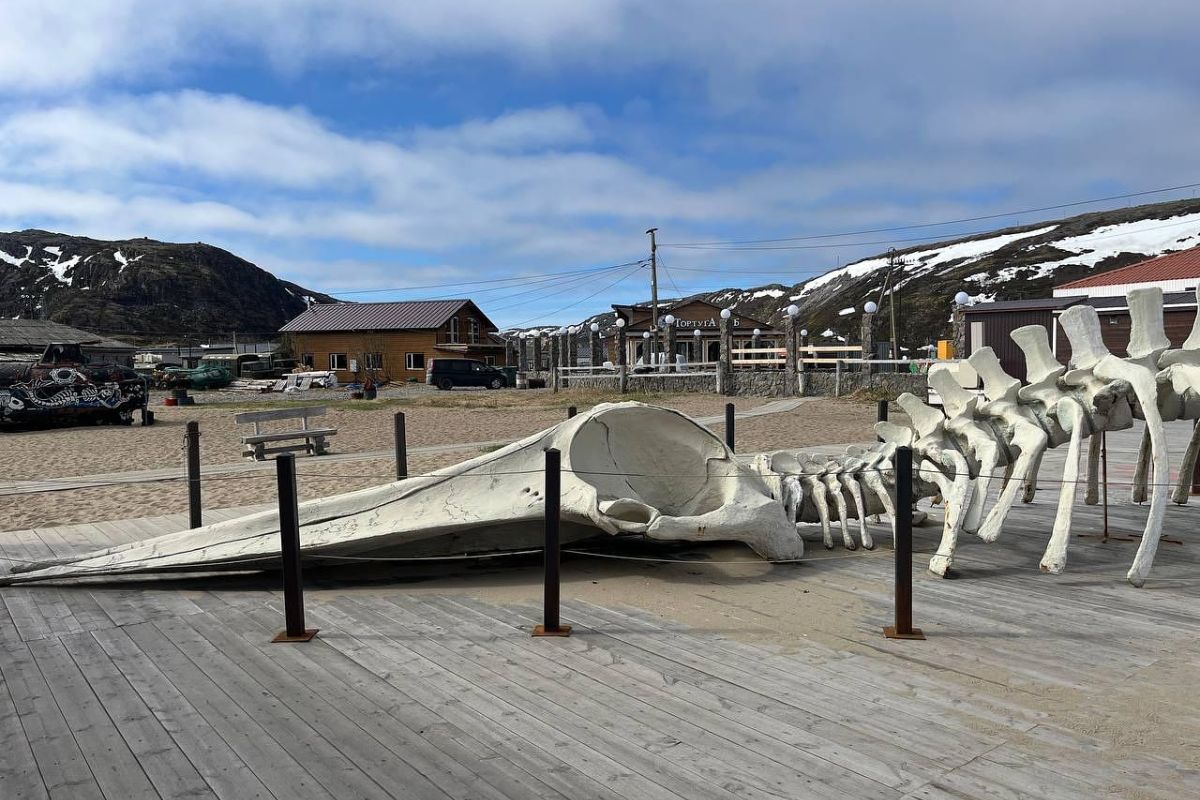 Горы. Море. Водопады +морская прогулка (3 дня на Кольском)