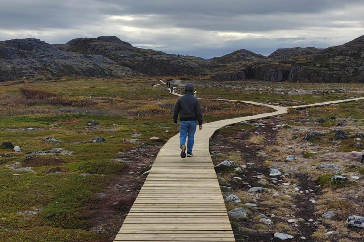 Красоты севера – летний Кольский