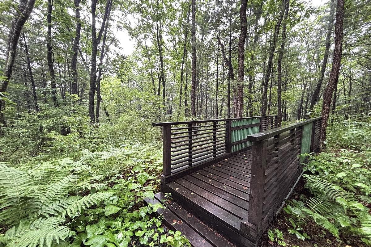 Земля леопарда + Японское море