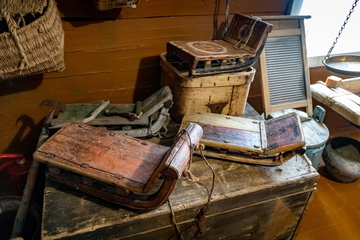 Заповедный выходной (тур для школьников в Поморье)