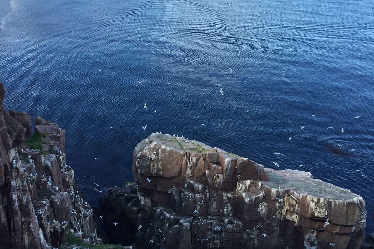 Красоты севера – летний Кольский