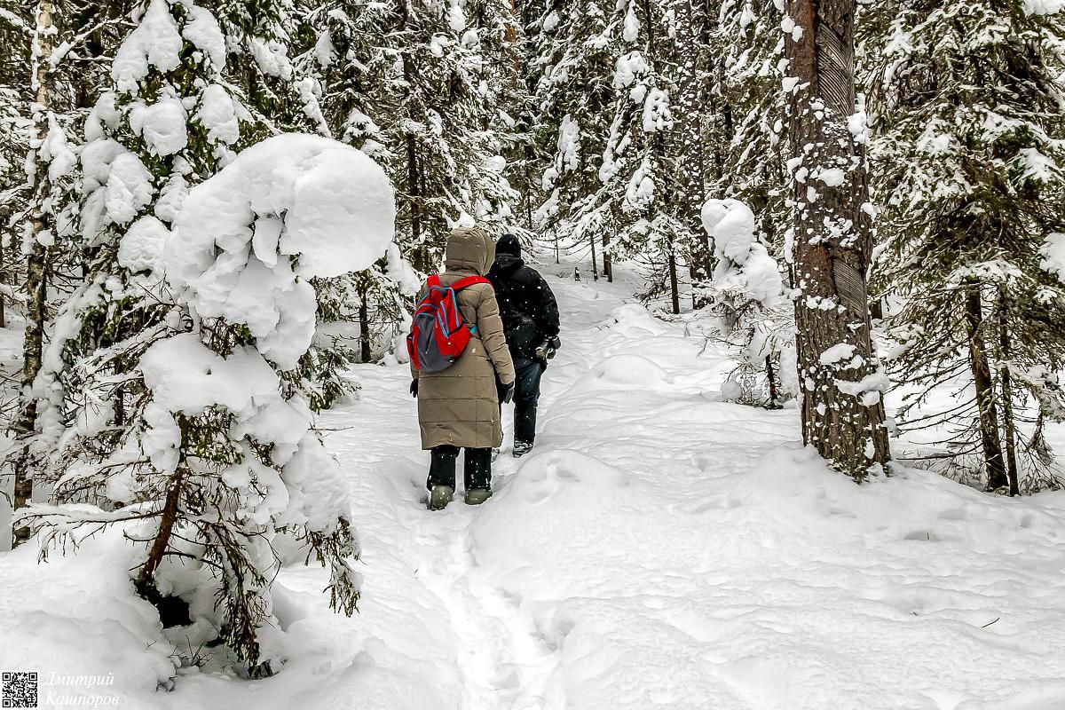 Времена года. Зимняя Карелия с фотографом