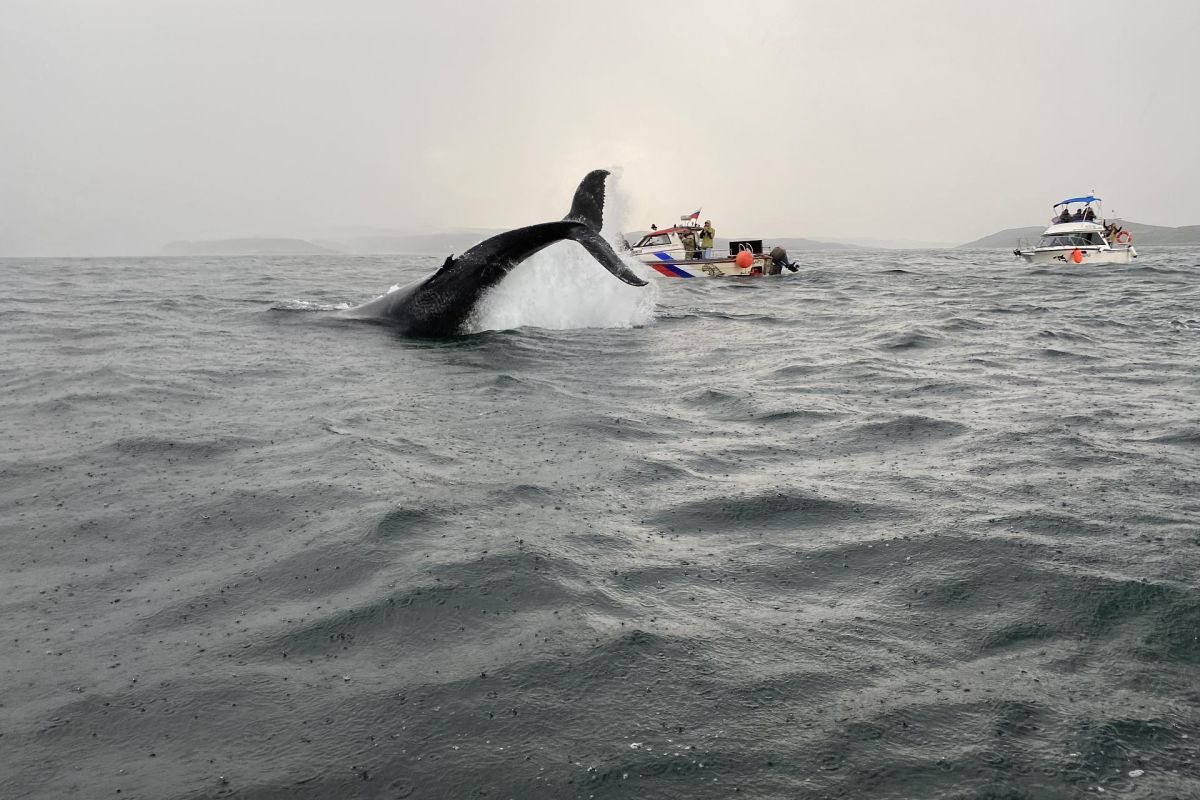 Красоты севера – летний Кольский