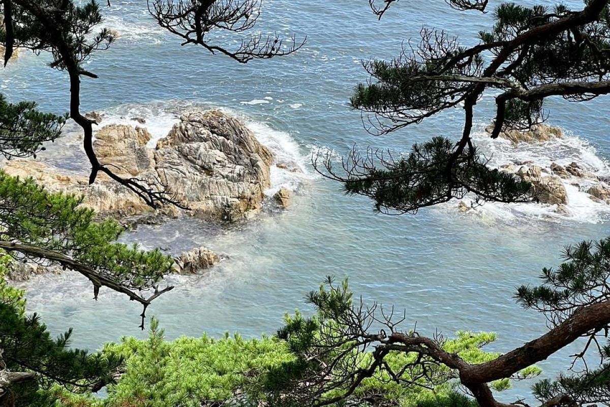 ЧУДЕСА ПРИМОРСКОГО КРАЯ