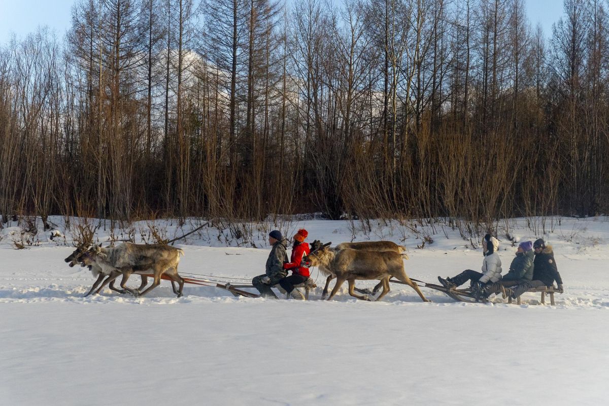 День Оленевода (Усть-Уркима, Амурская область)