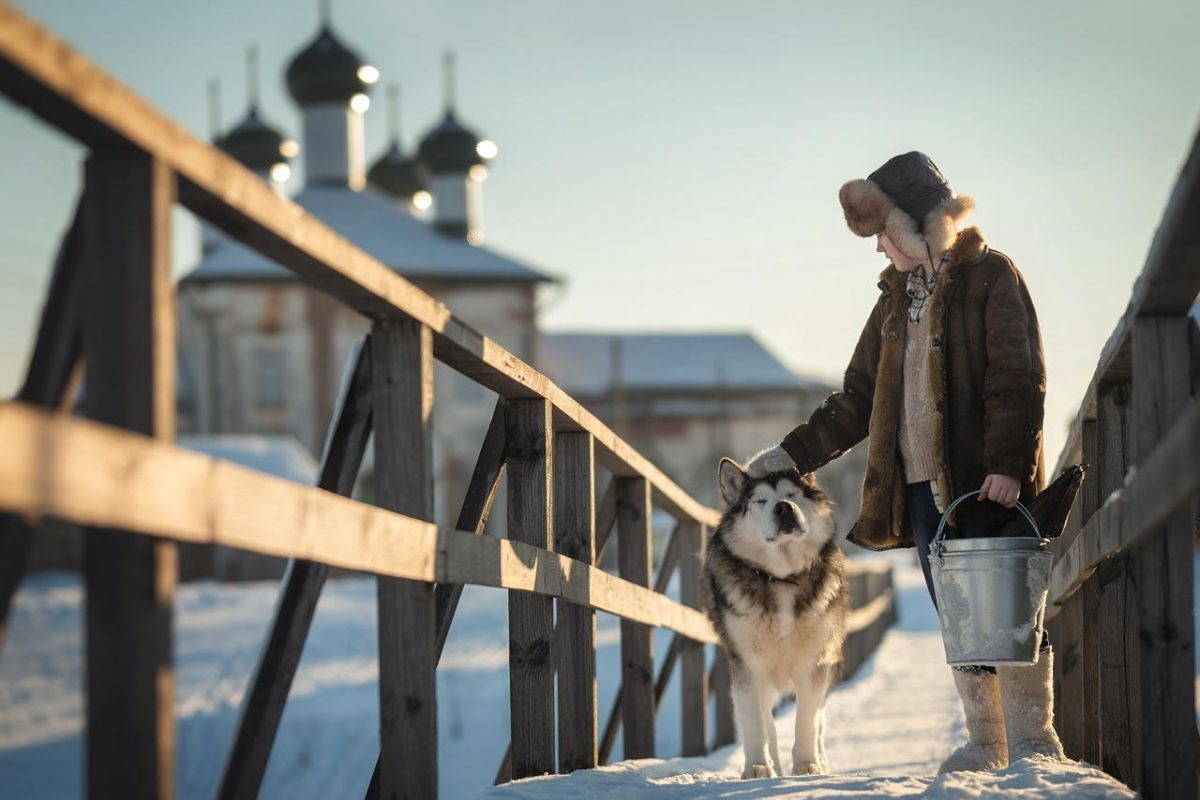 Тур «Кенозерское новогодие»