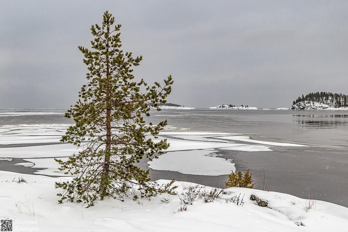 Времена года. Зимняя Карелия с фотографом