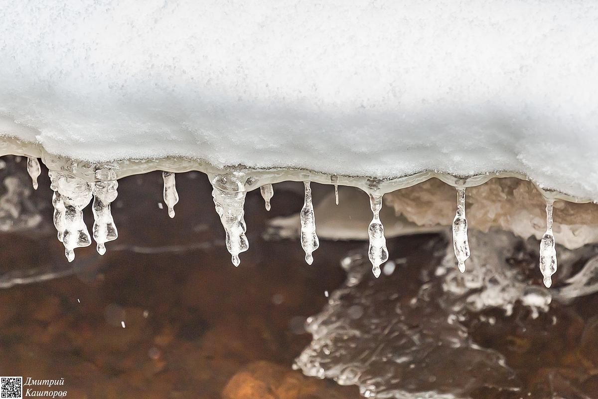 Времена года. Зимняя Карелия с фотографом