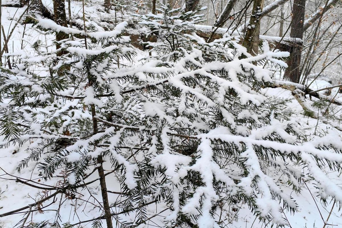Водопад Горбатый