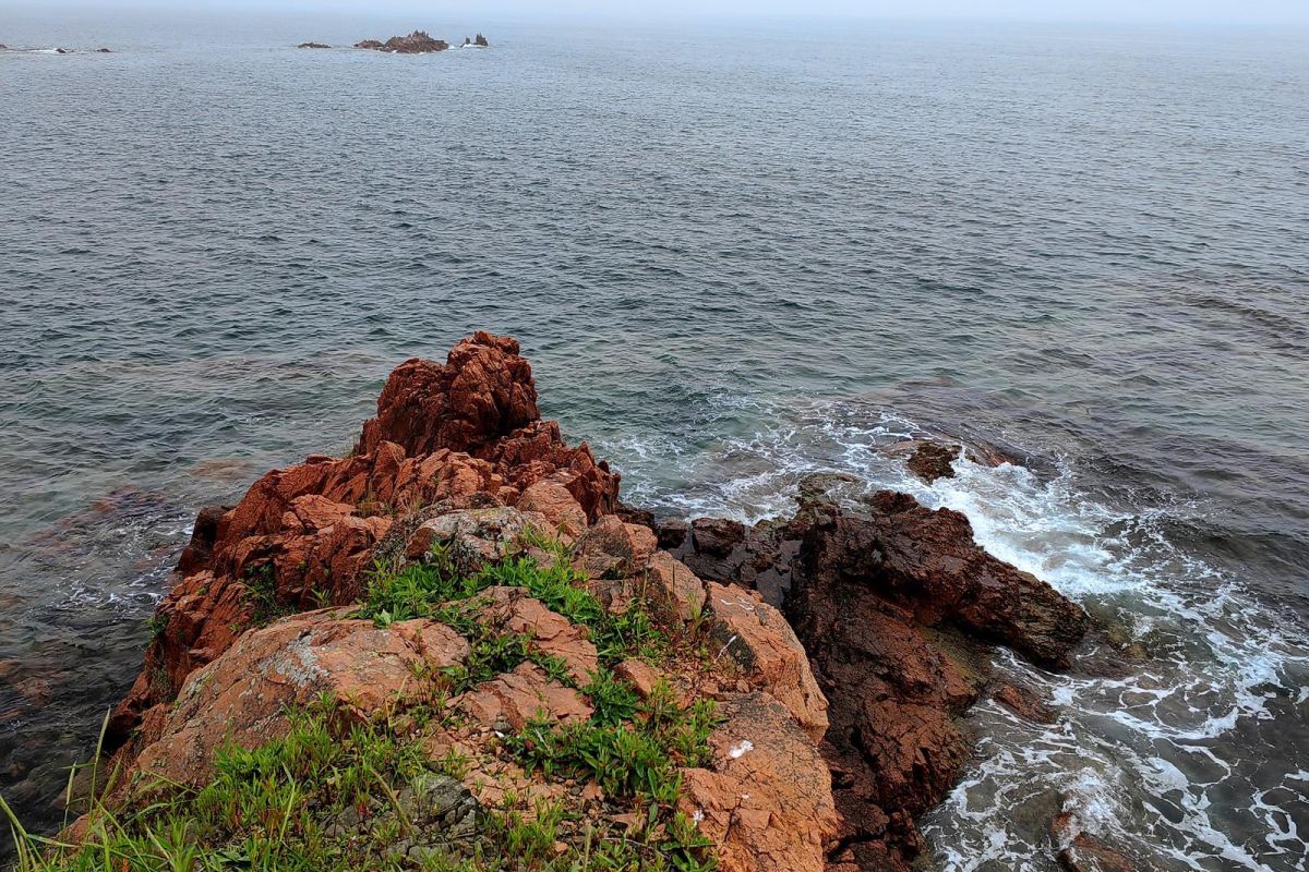 Открой Владивосток