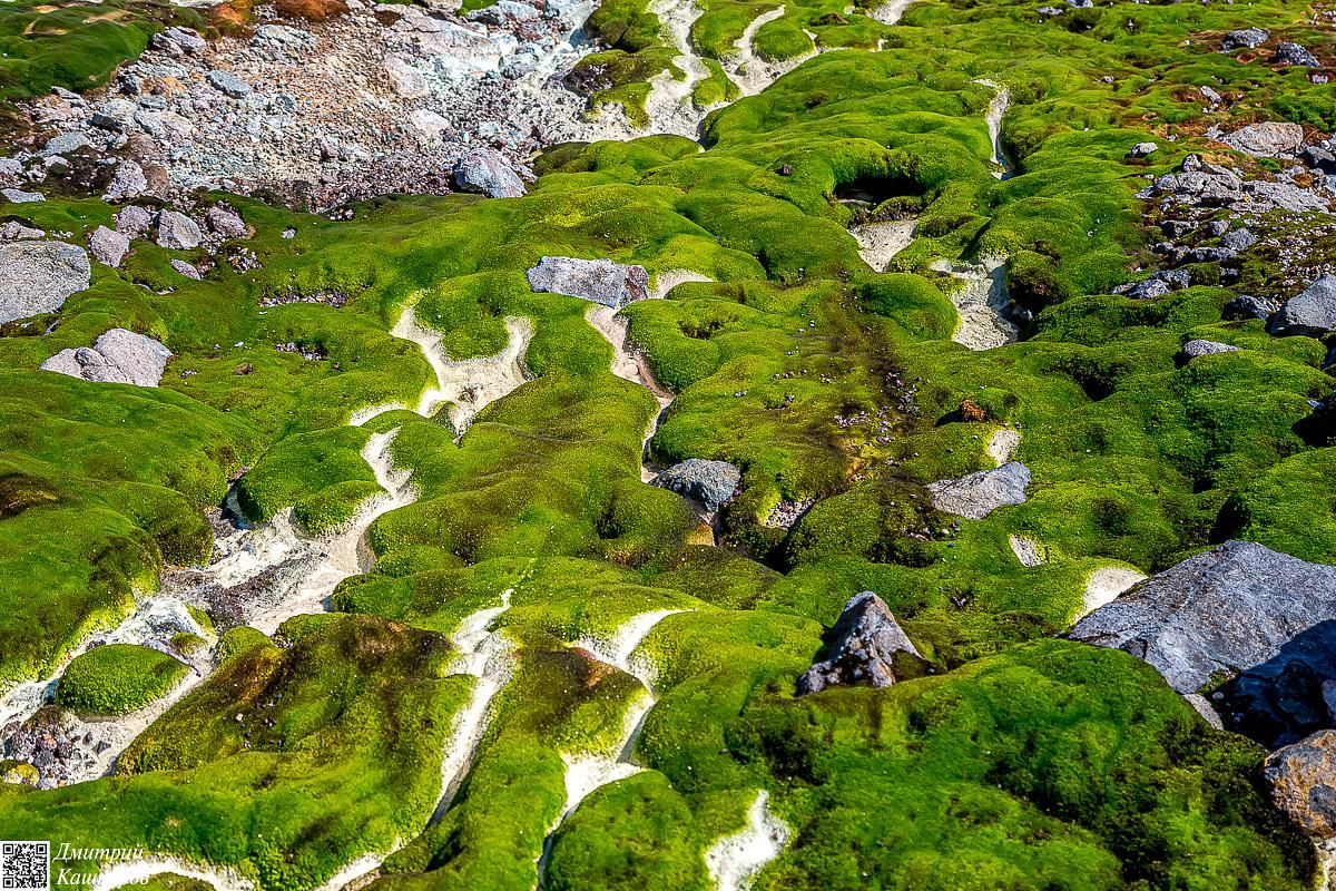 Итуруп и Шикотан. Путешествие на другую планету