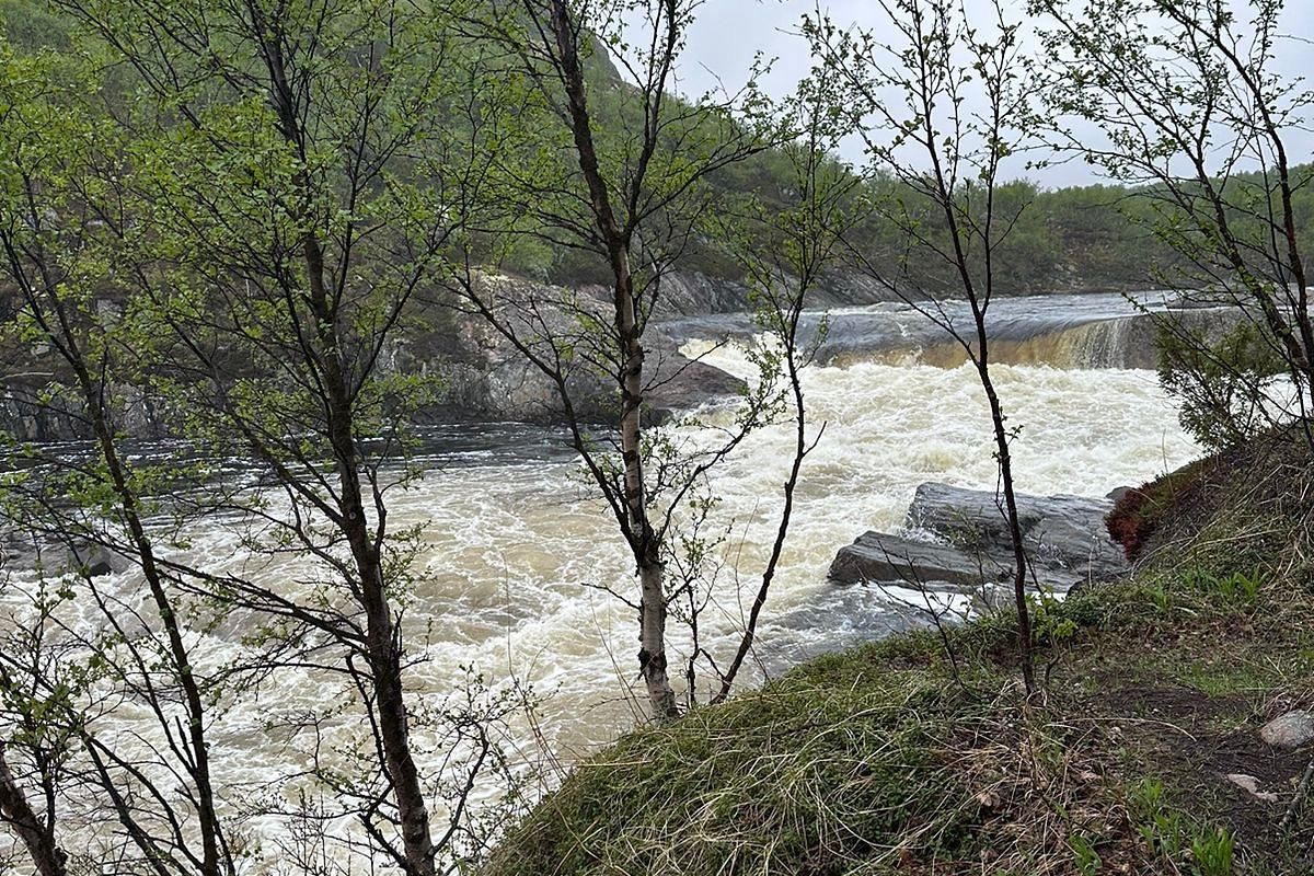Красоты севера – летний Кольский