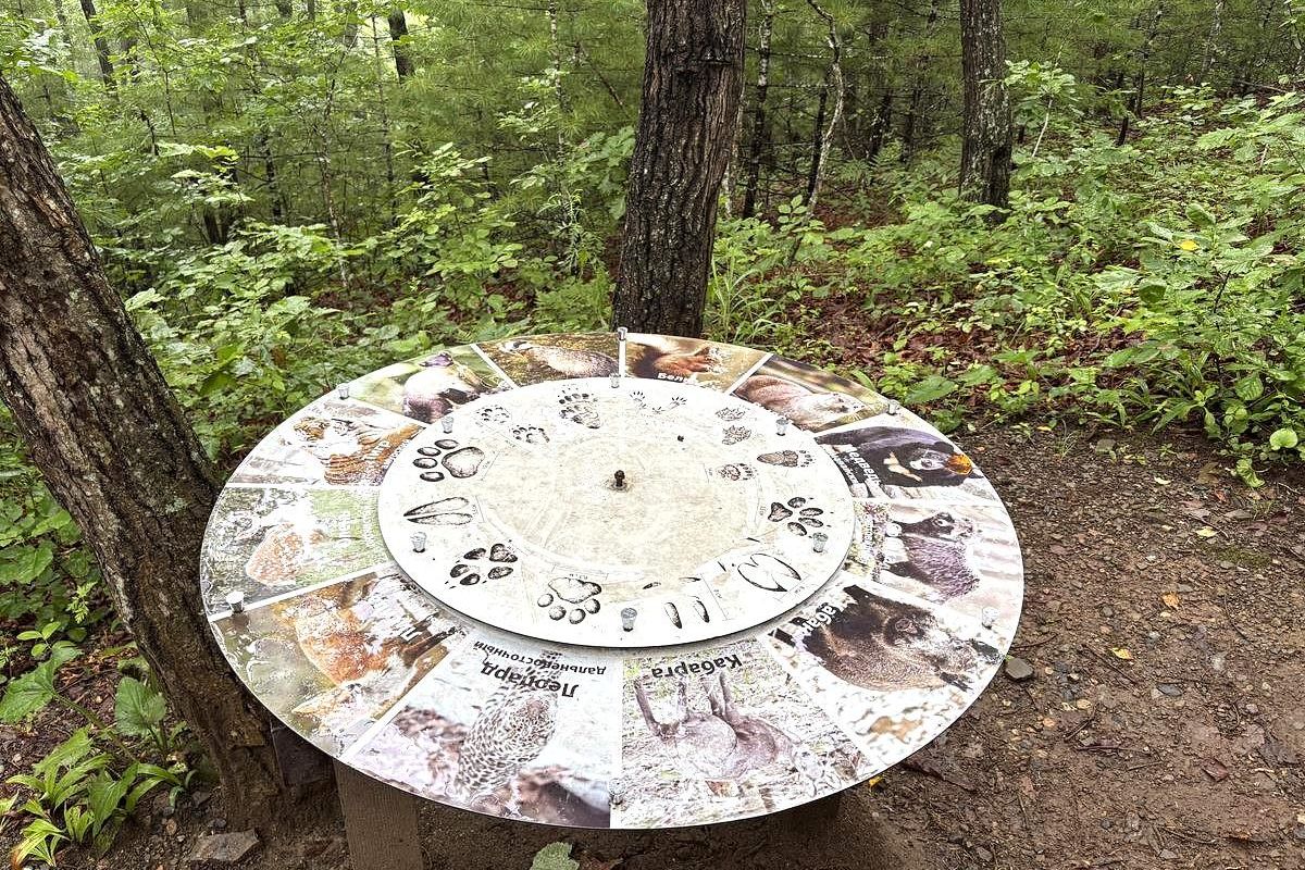 Земля леопарда + Японское море