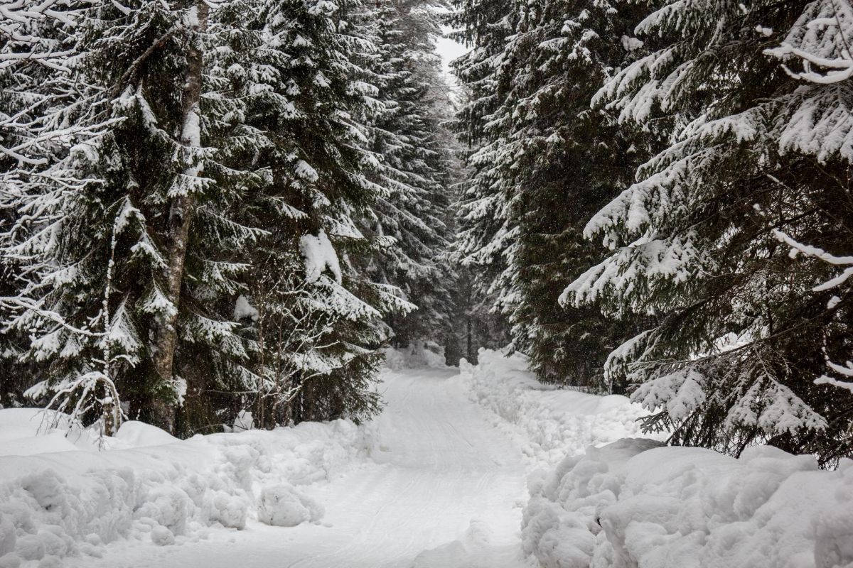 Кенозерье в апреле