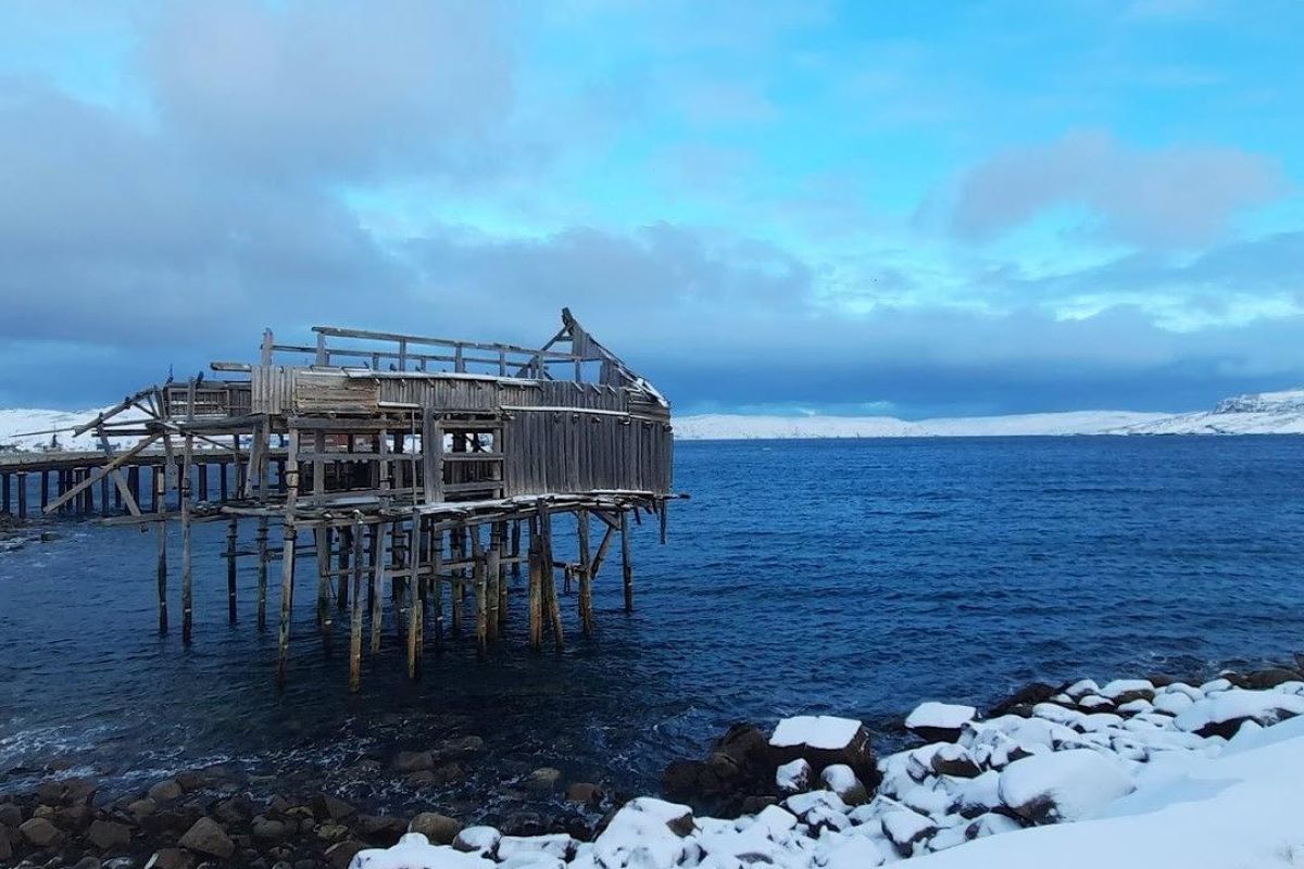 Фотоохота на китов