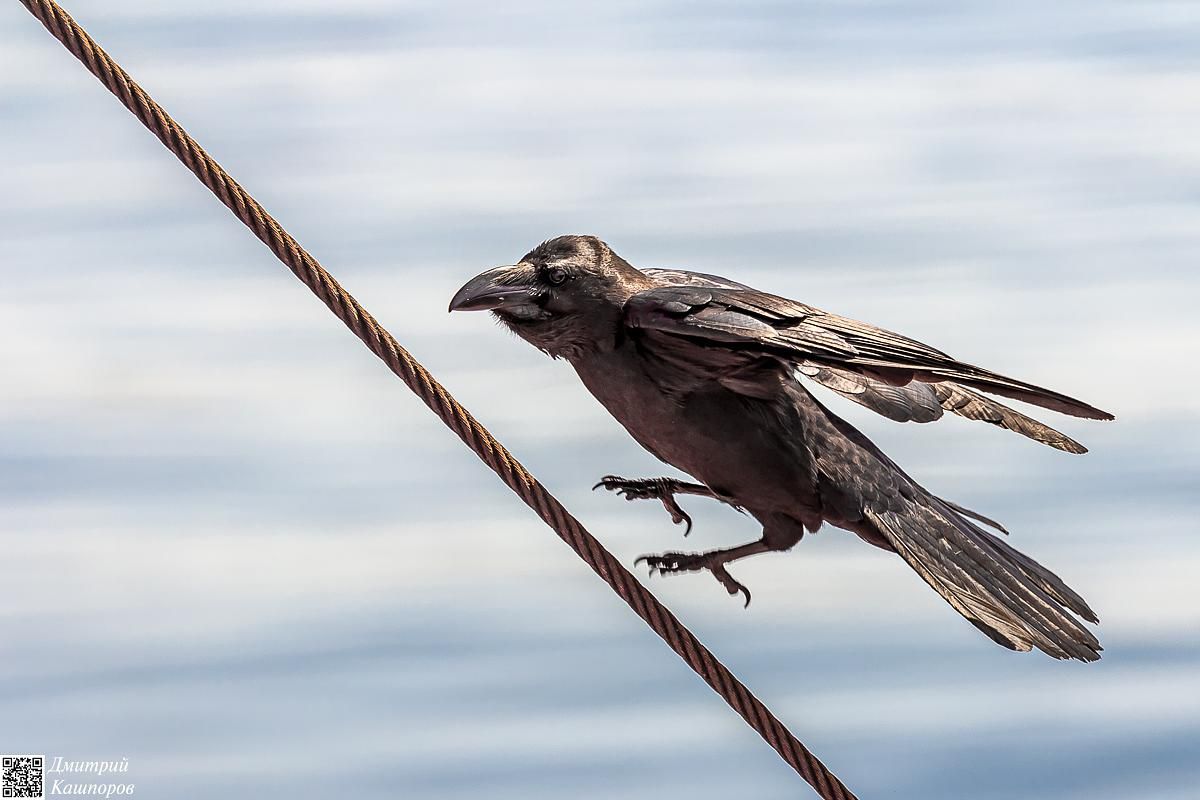 Итуруп и Кунашир. Путешествие на другую планету