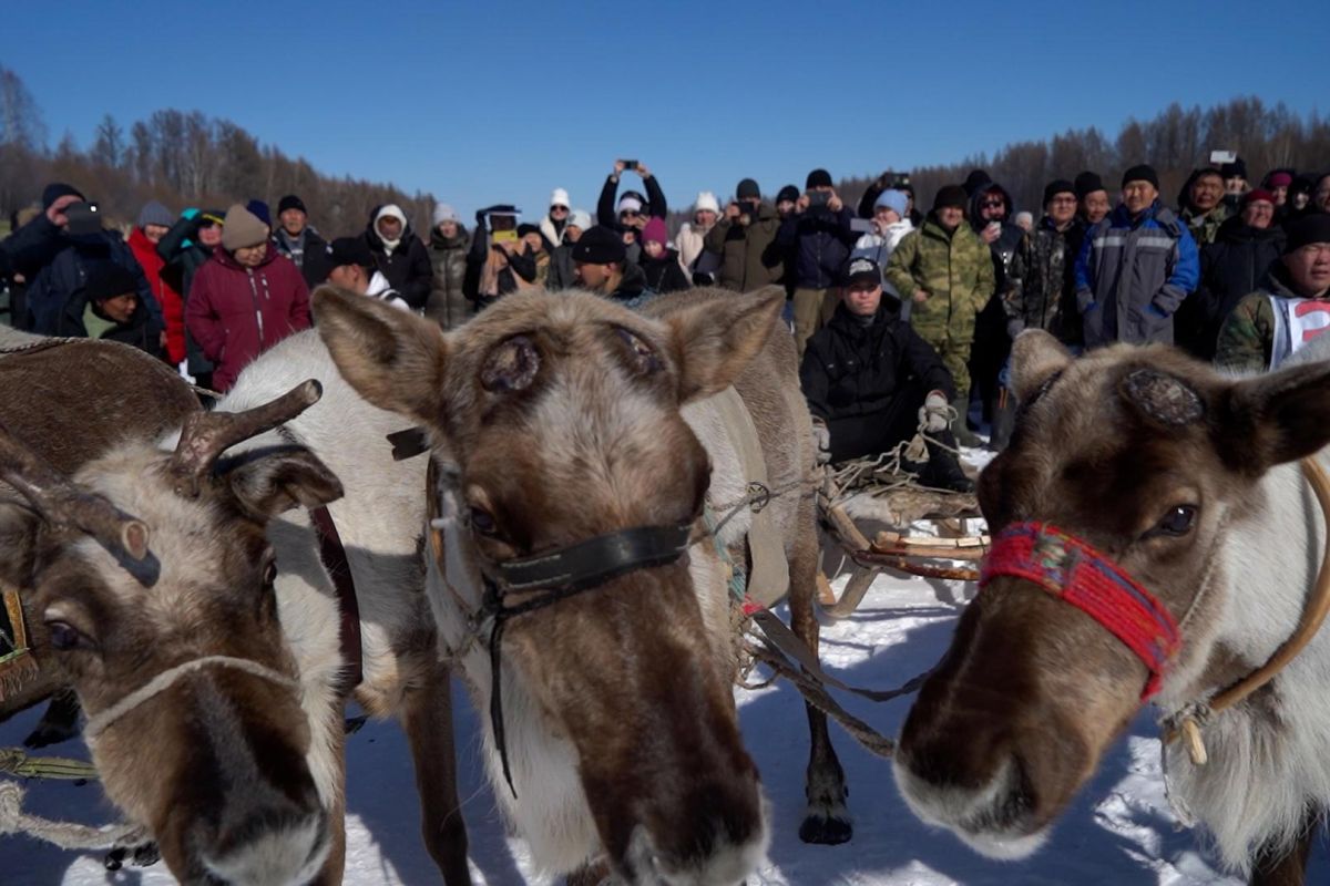 День Оленевода (Усть-Уркима, Амурская область)