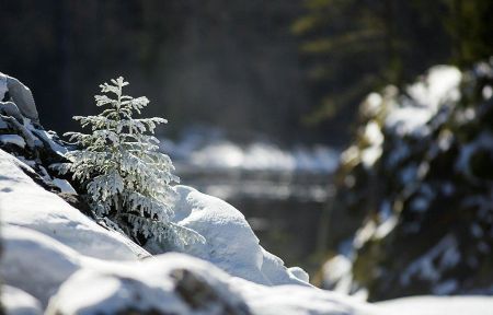 Зимний тур в Карелию