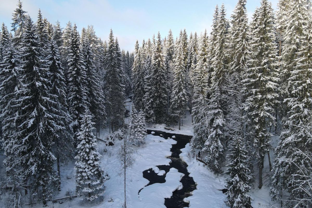 Тур на 3 дня Новый Год в эко-Карелии
