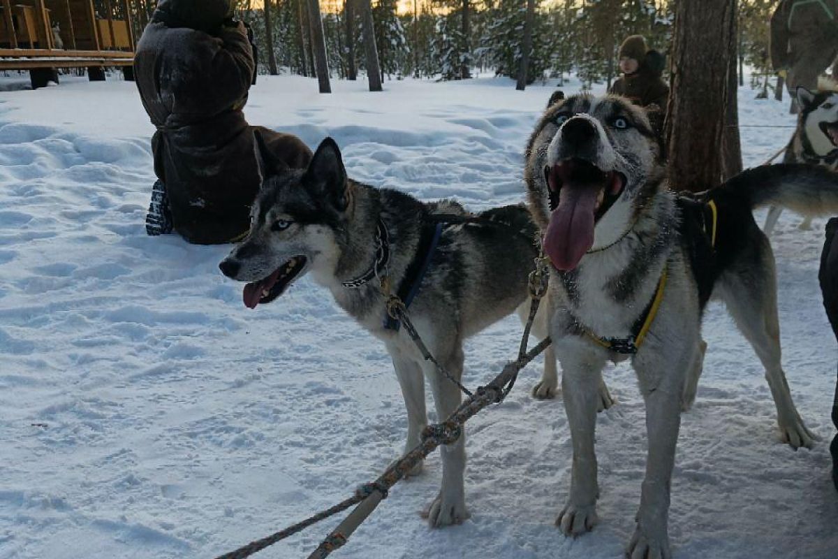 Ешь, лови, кайфуй на Кольском (зима)