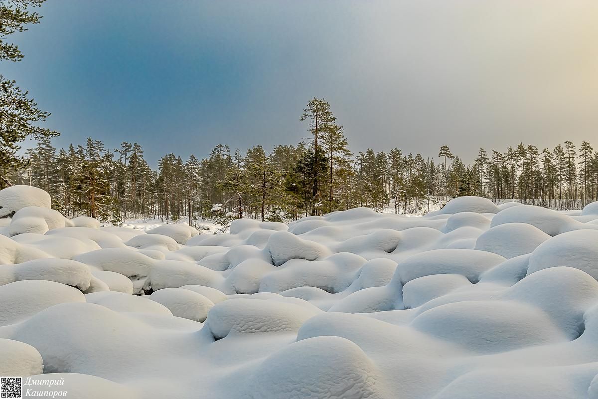 Времена года. Зимняя Карелия с фотографом