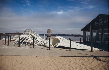 Красоты севера – летний Кольский