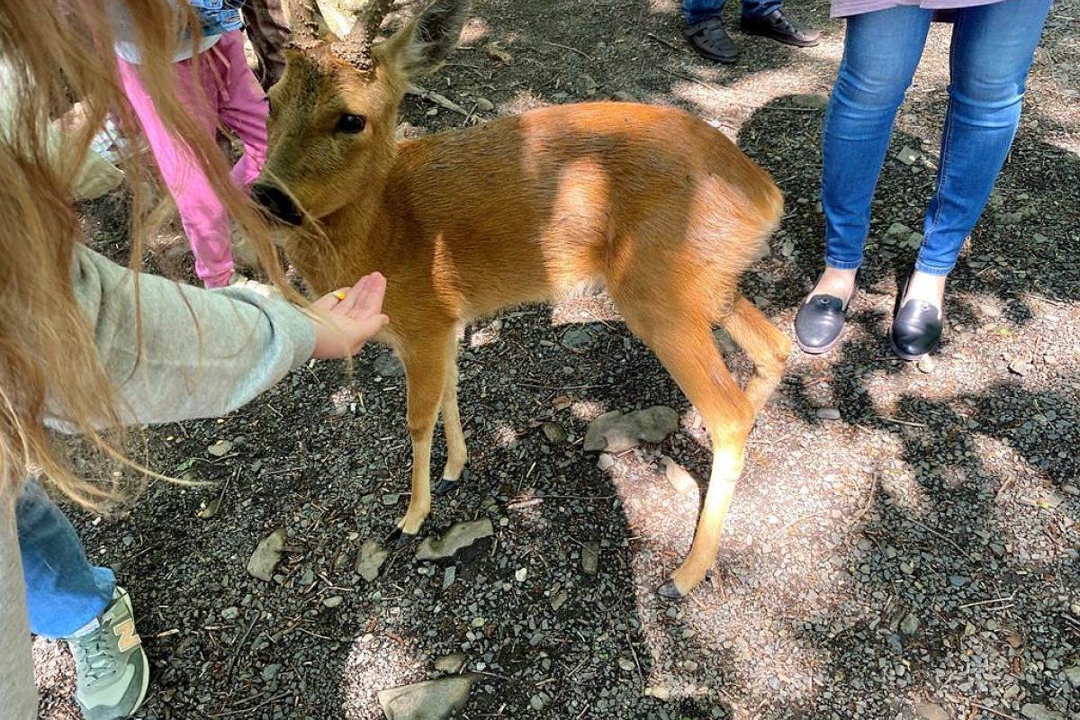Владивосток – город у океана