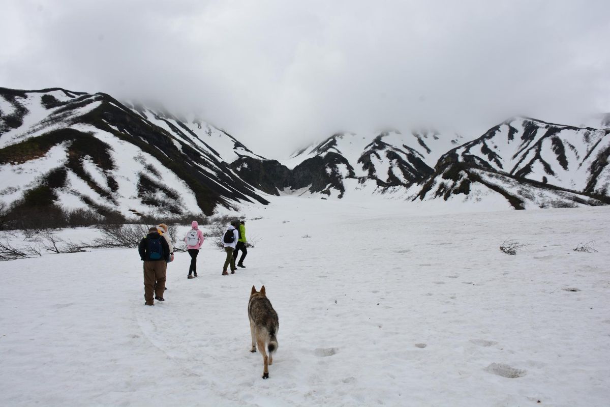 Треккинг на Вилючинский водопад (Камчатка, экскурсия)