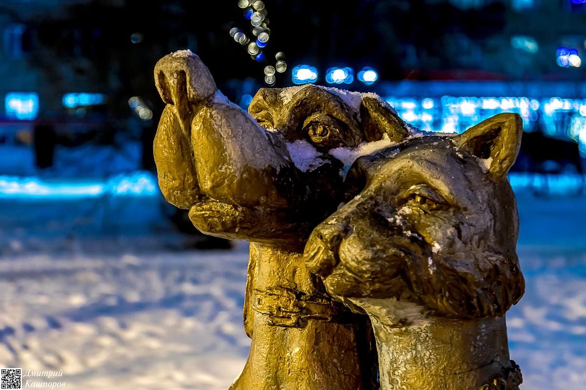 Времена года. Зимняя Карелия с фотографом