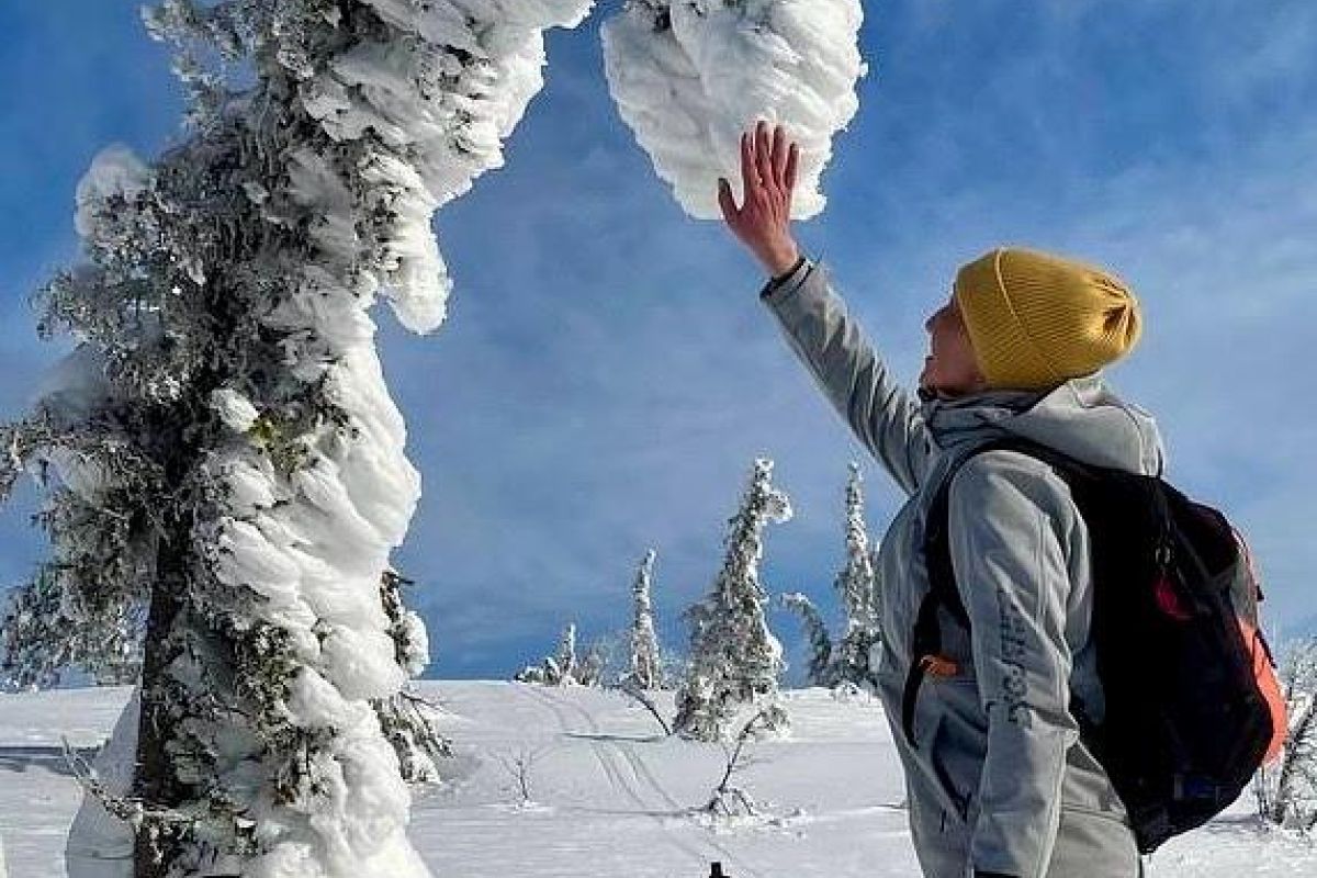 Снежный май на Кольском