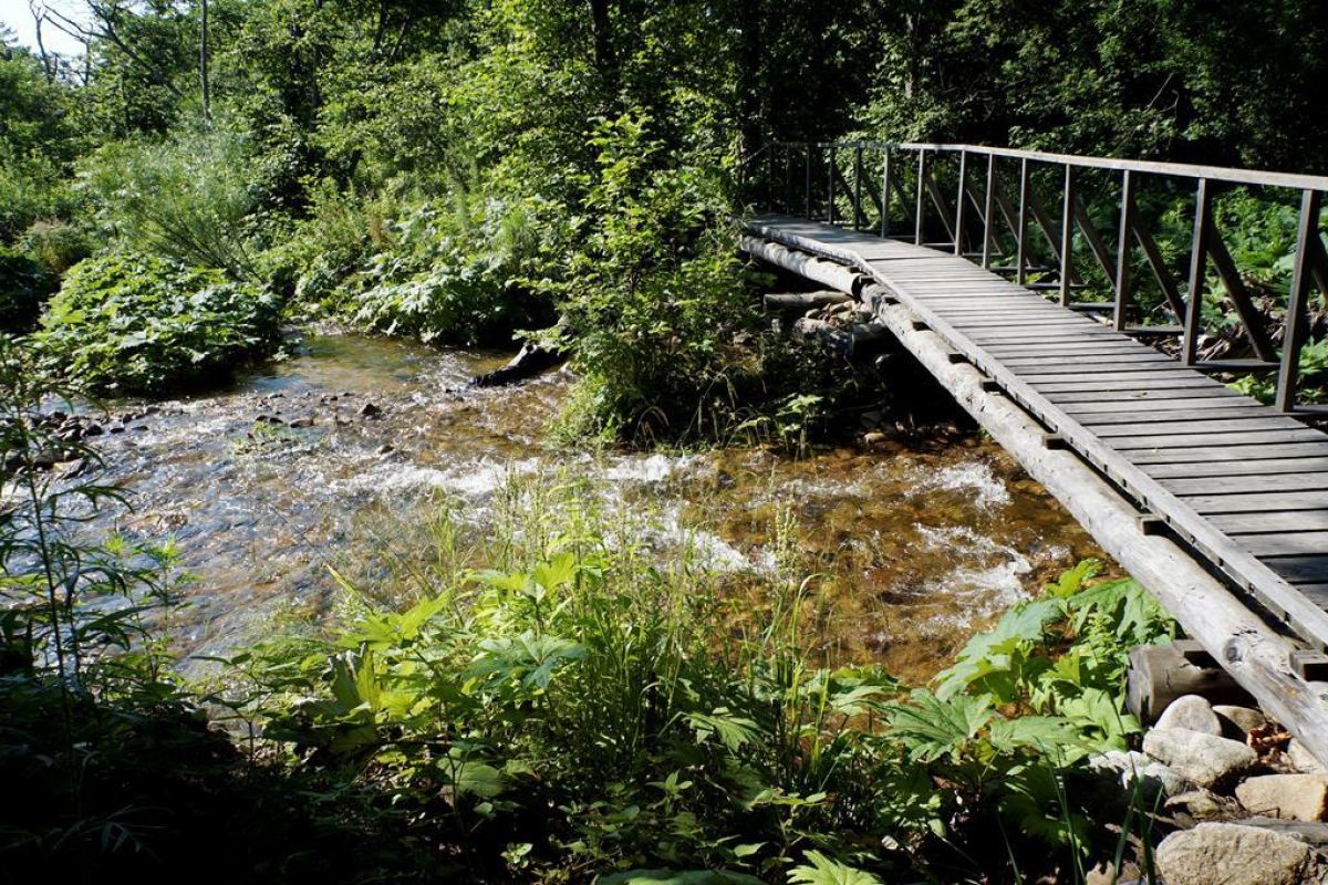 Сихотэ-Алинский заповедник: по следам амурского тигра!