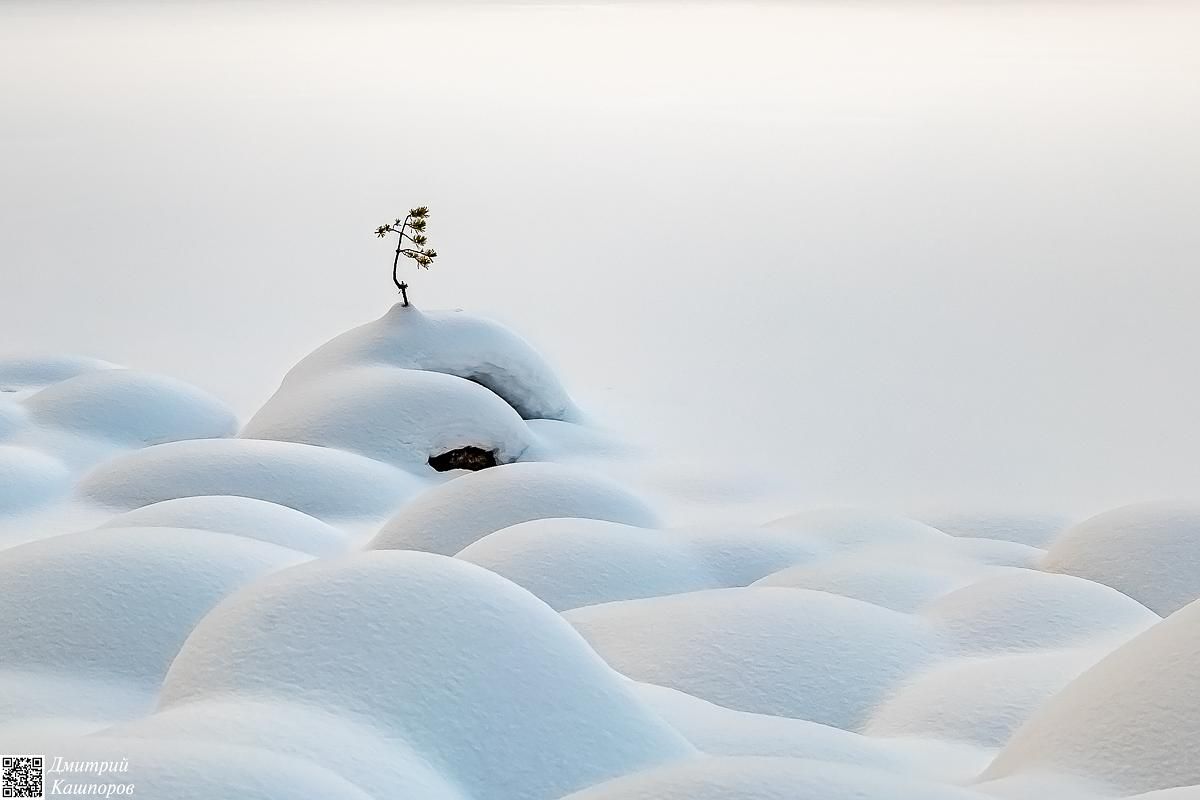 Времена года. Зимняя Карелия с фотографом