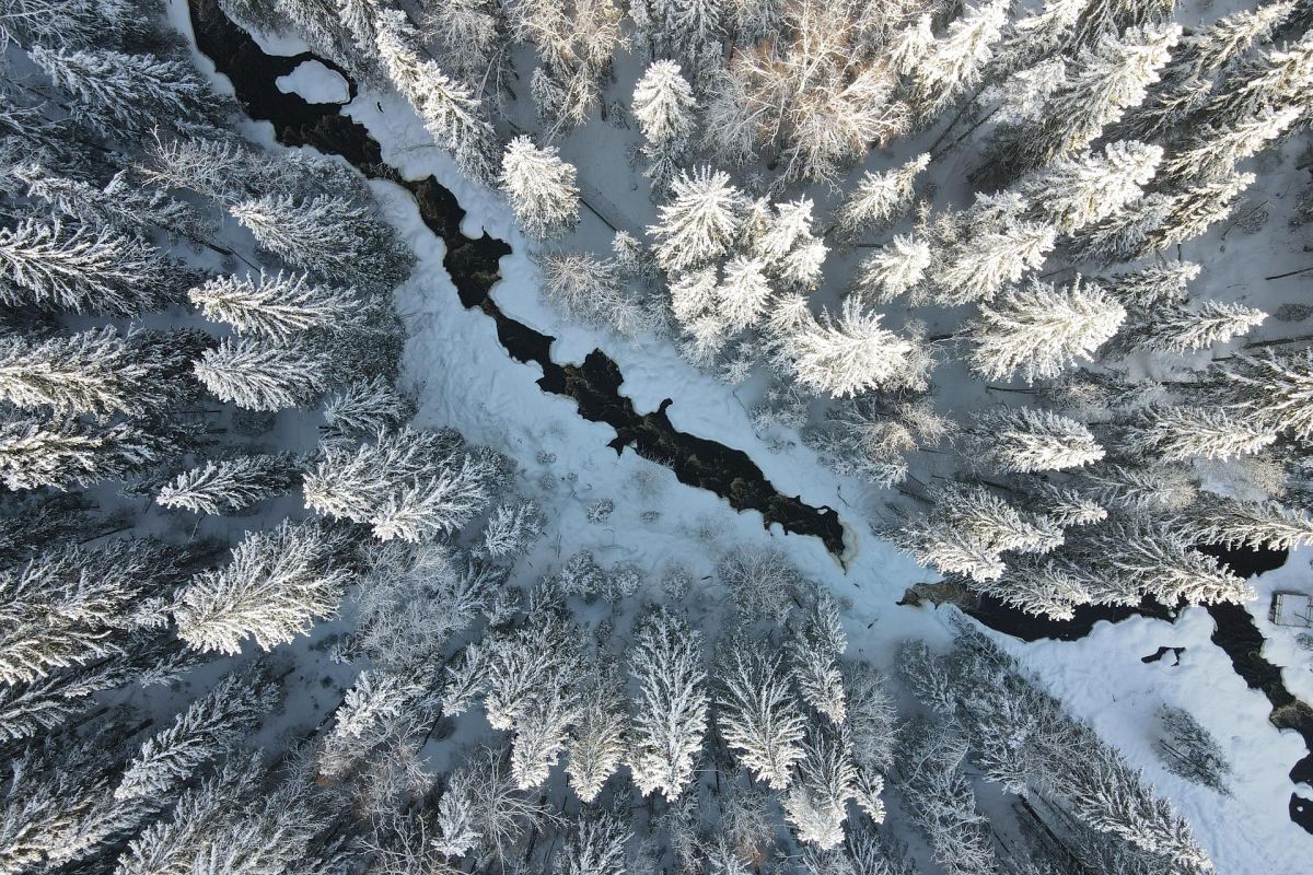 Тур на 3 дня Новый Год в эко-Карелии