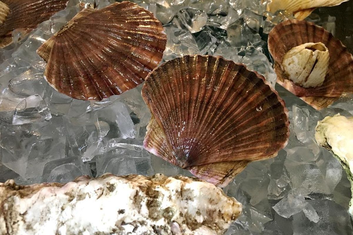 Семейное путешествие во Владивосток