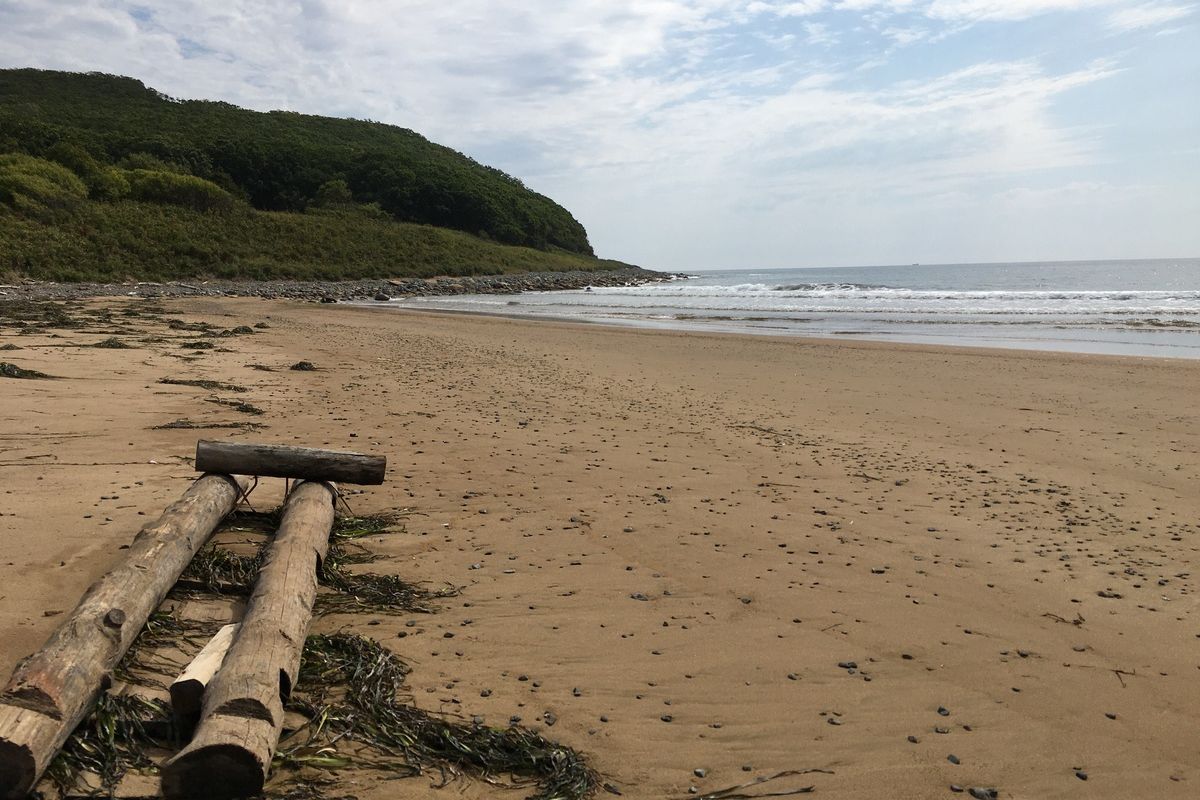 Сихотэ-Алинский заповедник: по следам амурского тигра!