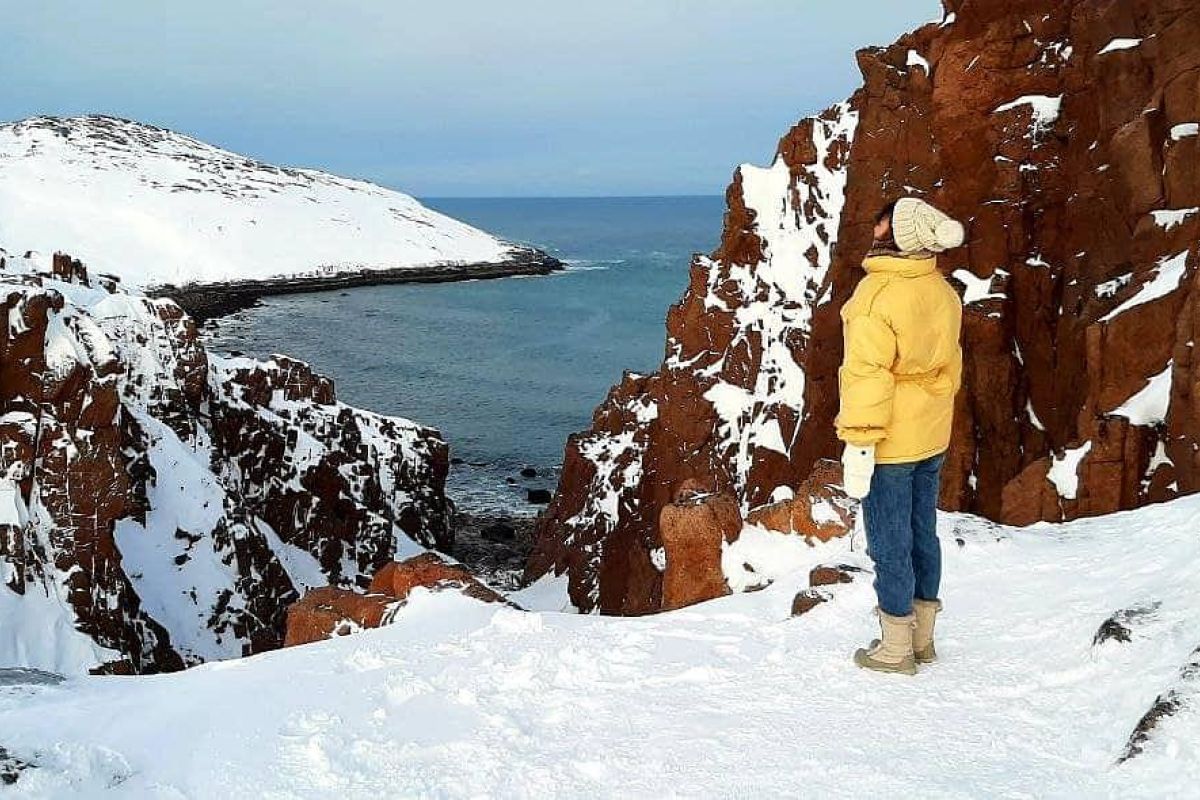 Териберка с морской прогулкой (зима)