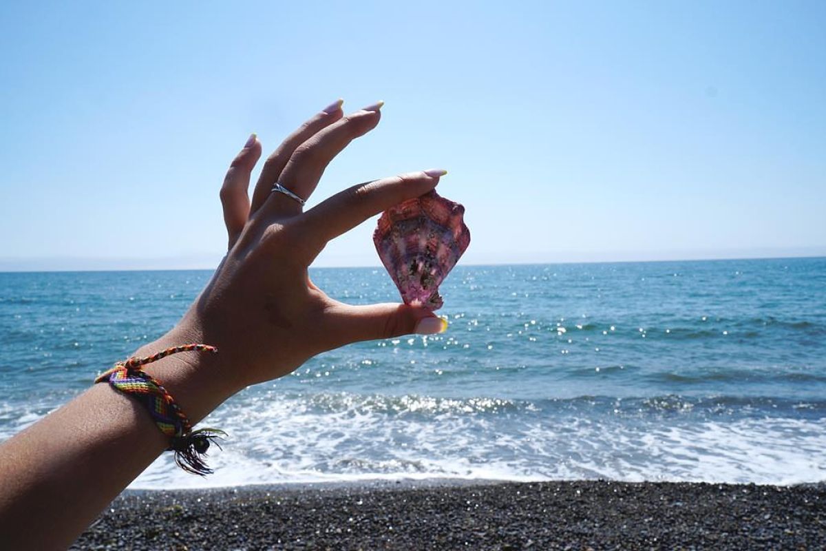 Заповедное Приморье: с юга на север