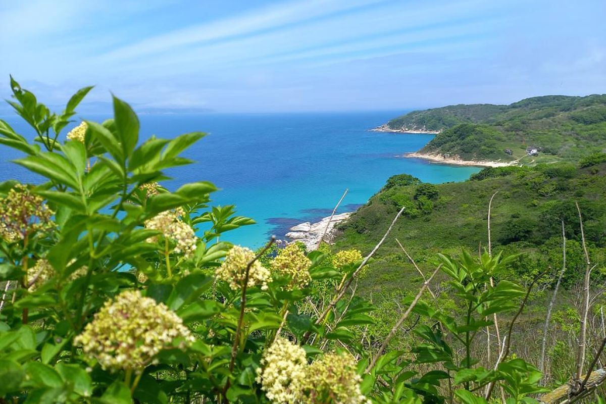 Отпуск в тельняшке (Приморье)