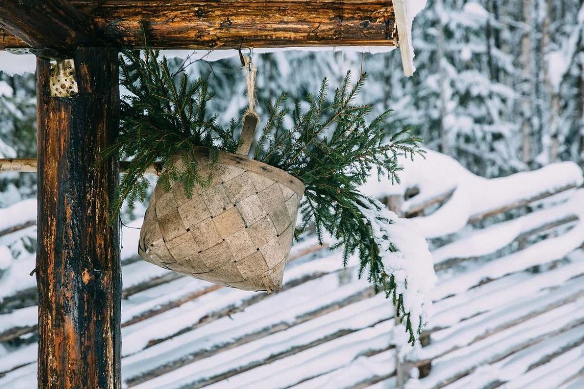 Хаски и олени: экскурсия в питомник (Карелия, Петрозаводск)