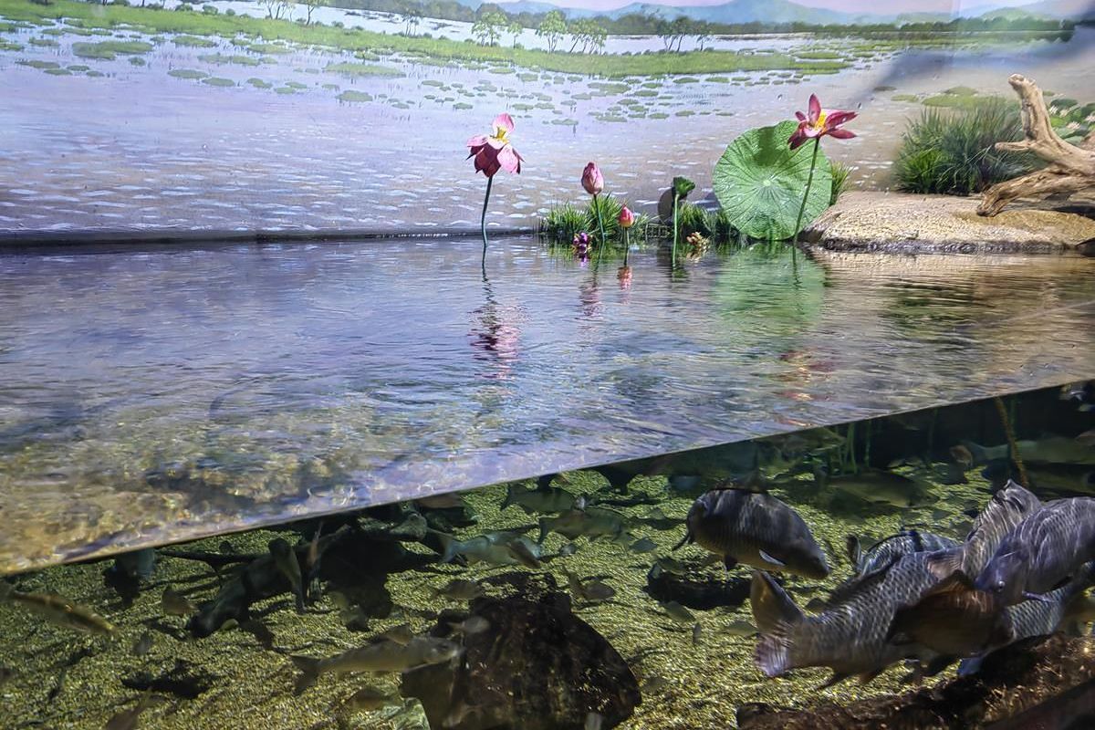 Дыхание весны в Приморье