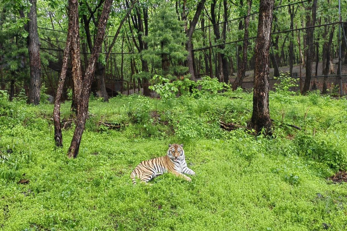 Приморье и Сахалин в одном туре