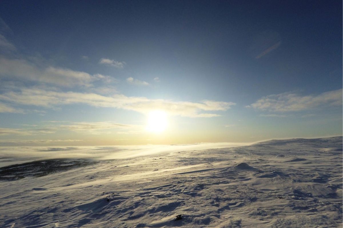 Навстречу солнцу: восхождение на гору Лисья