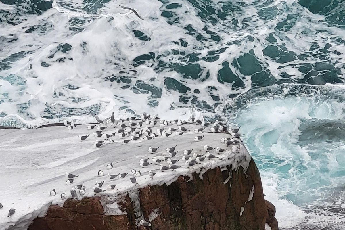 Териберка и море