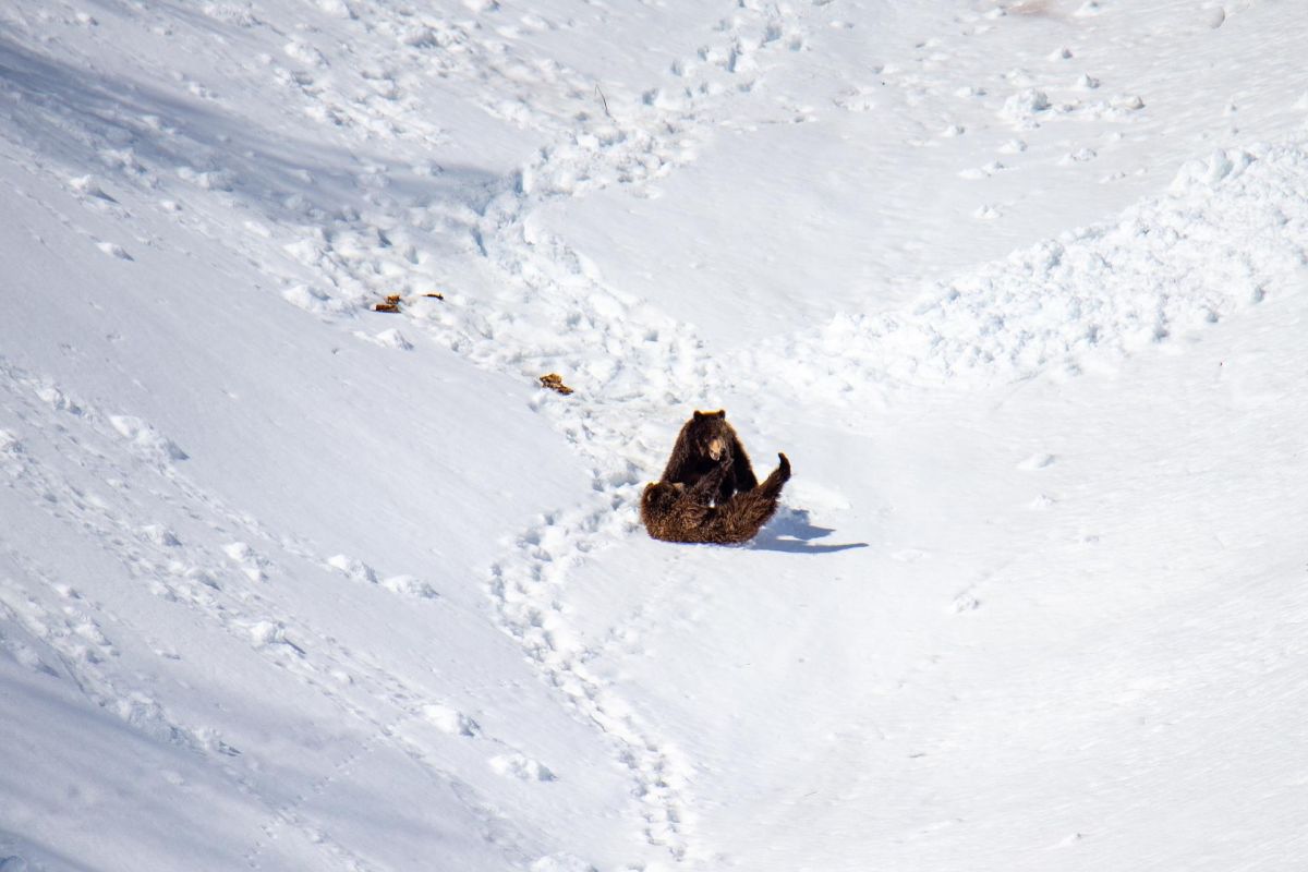 Вертолетная экскурсия в Долину гейзеров (Кроноцкий заповедник)