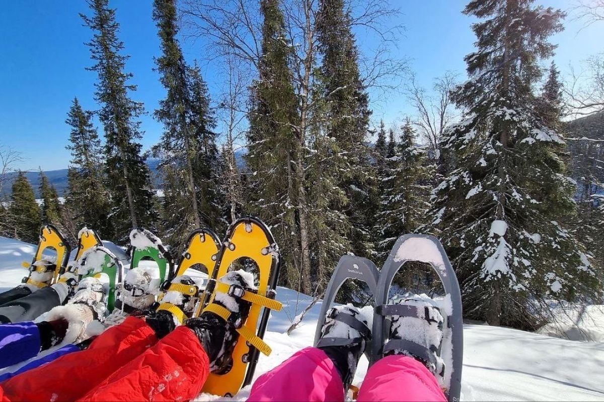 Снежный май на Кольском