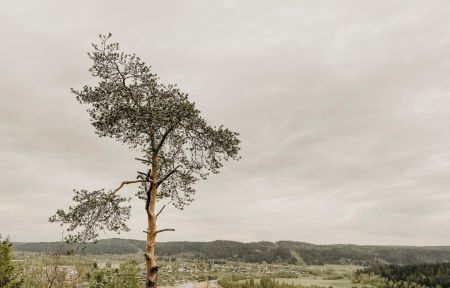 Три дня в Карелии. Лайт