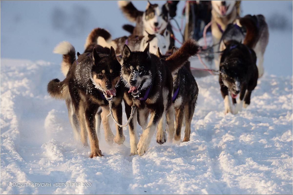 Зимняя сказка Камчатки